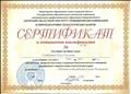 Сертификат о повышении квалификации по проблеме: "Безопасность работы в сети Интернет"